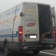 MultiPlast